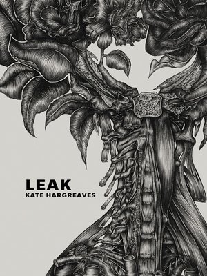 cover image of Leak